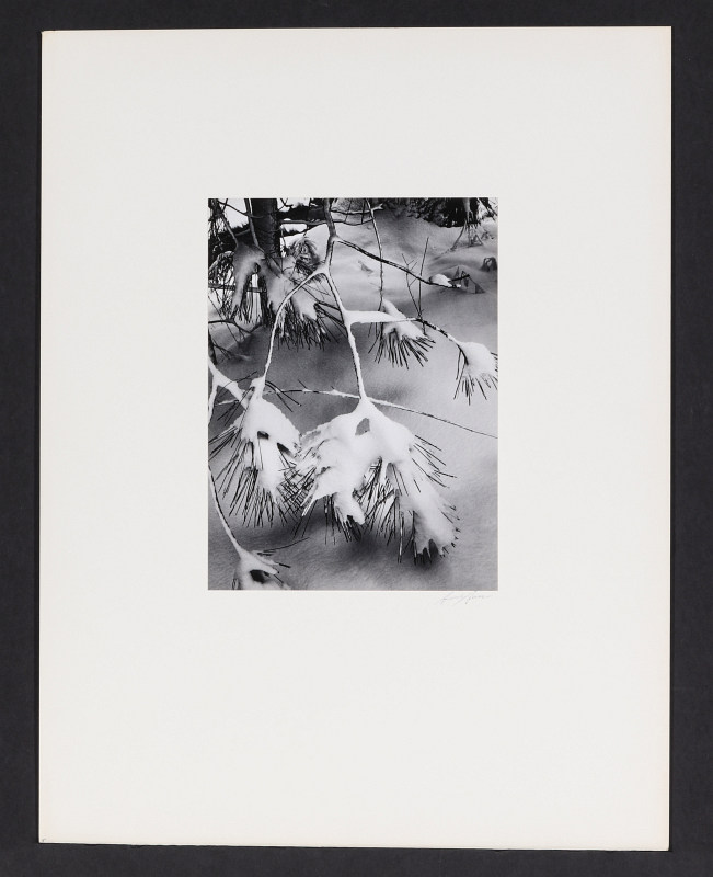 ANSEL ADAMS (1902-1984) SIGNED SILVER GELATIN PRINT