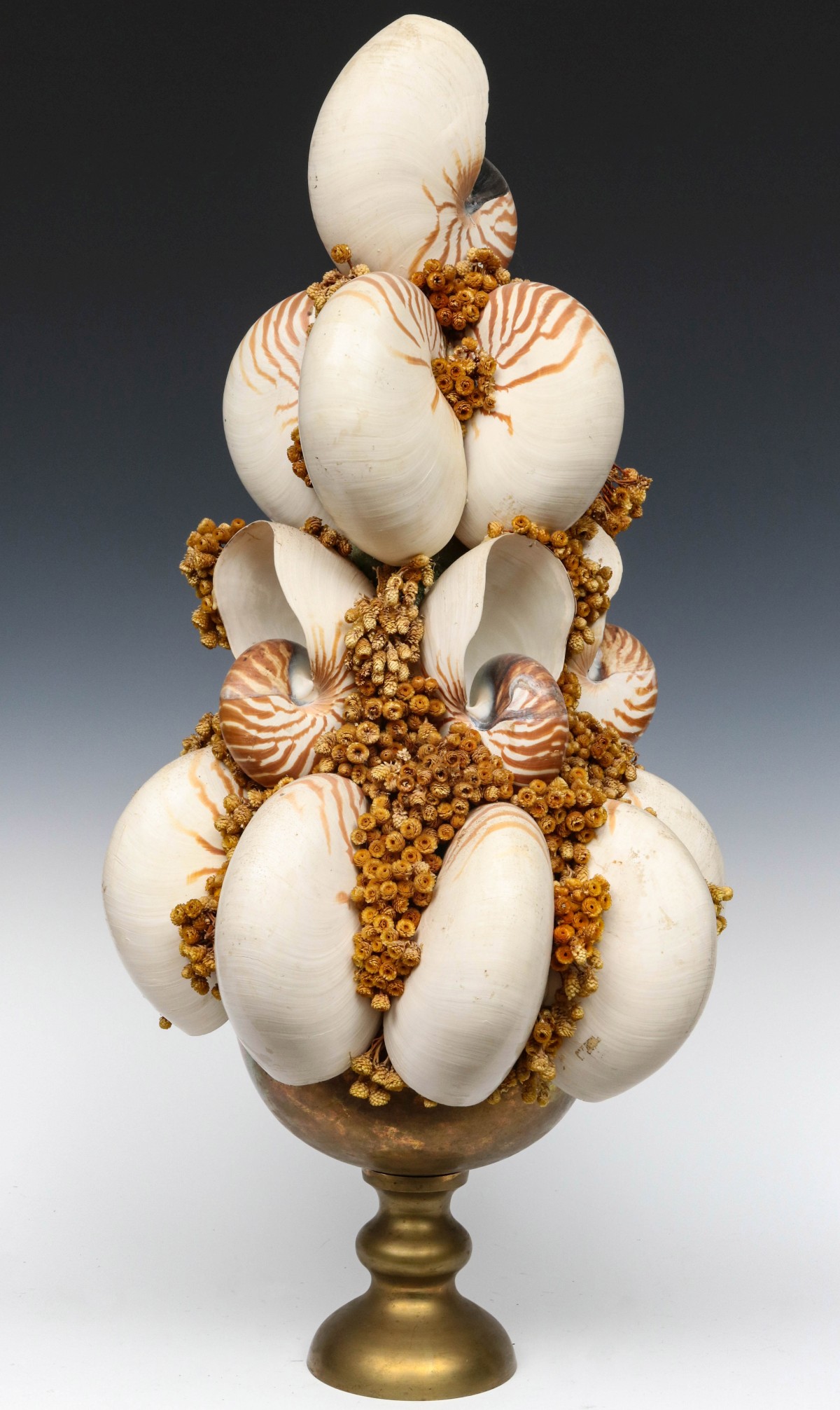 A CENTERPIECE OF LARGE CHAMBERED NAUTILUS SEA SHELLS