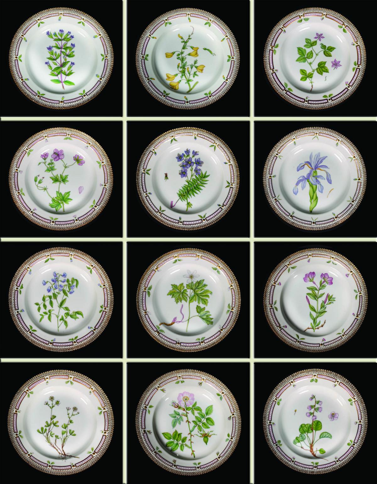 TWELVE ROYAL COPENHAGEN FLORA DANICA DINNER PLATES