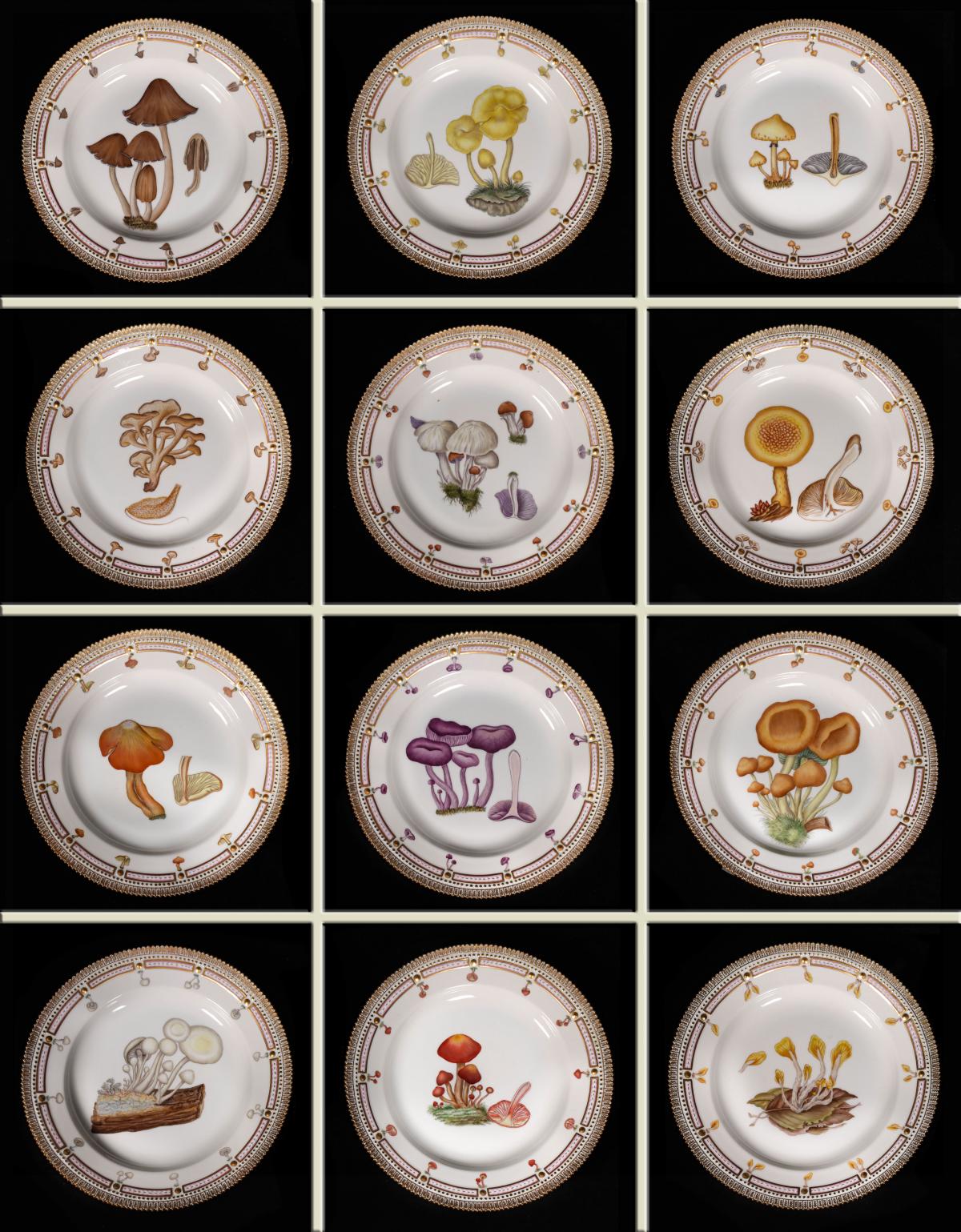 ROYAL COPENHAGEN FLORA DANICA FUNGI BOTANICAL PLATES