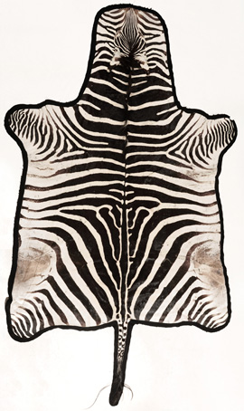 Zebra Skin Rug