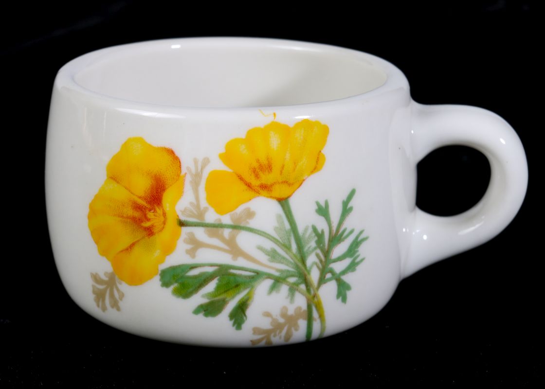 AT&SF SANTA FE CALIFORNIA POPPY COFFEE CUP, SAUCER