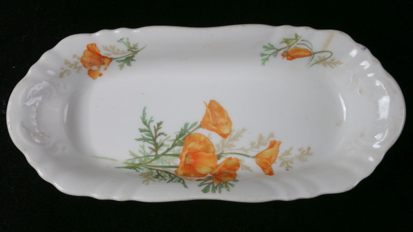 AT&SF SANTA FE RR CALIFORNIA POPPY CELERY DISH