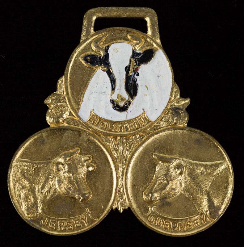 MINNESOTA STATE DAIRYMAN'S 1913 CONVENTION FOB