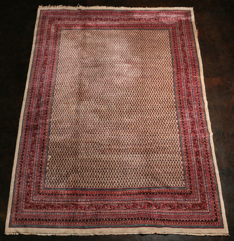 A SEMI ANTIQUE PERSIAN SARABAND CARPET