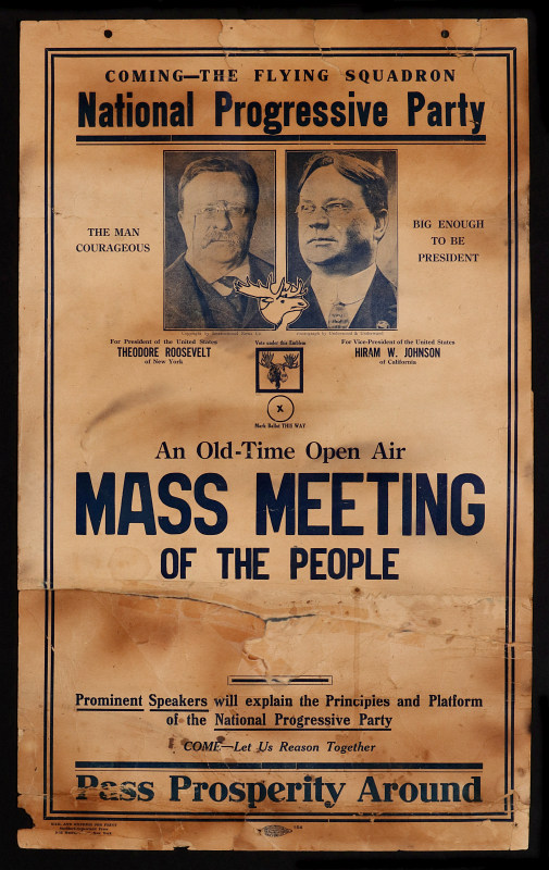 TEDDY ROOSEVELT NATIONAL PROGRESSIVE PARTY POSTER