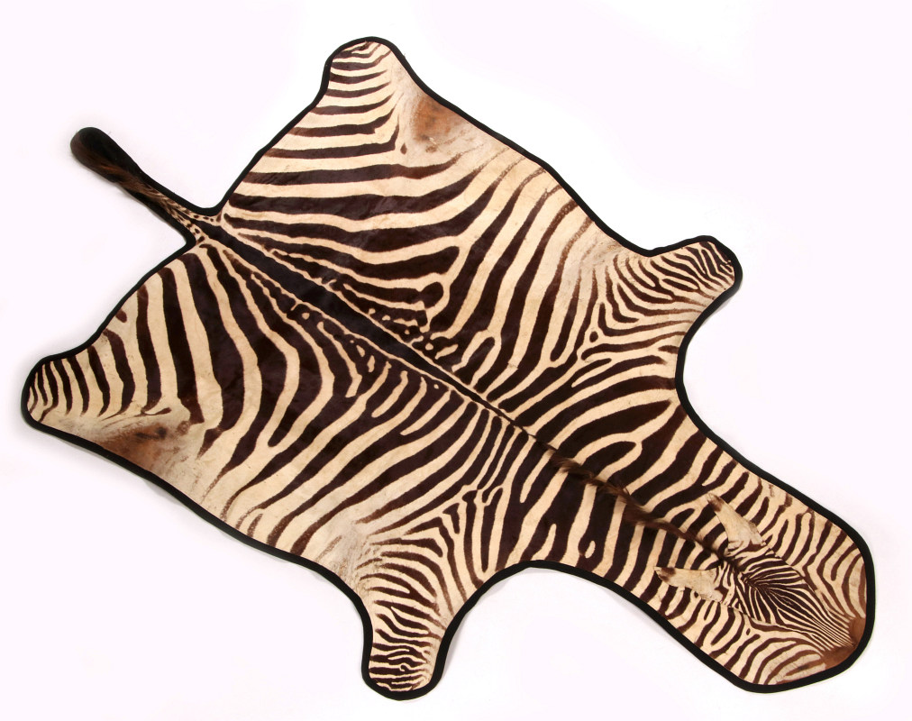 A TAXIDERMY AFRICAN ZEBRA HIDE RUG WITH FELT