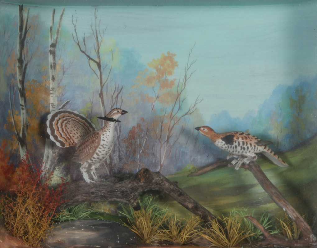 A FOLK ART DIORAMA BY R.G. RODELL - RUFFED GROUSE