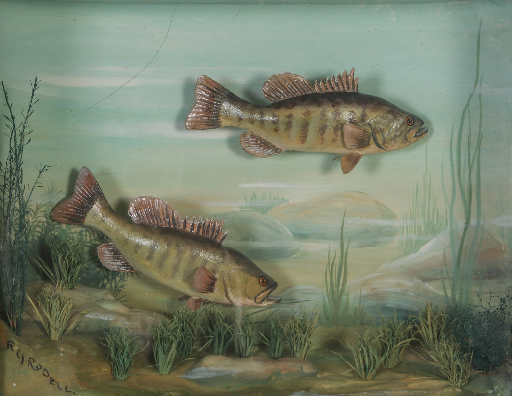 FOLK ART DIORAMA BY R.G. RODELL - LARGEMOUTH BASS