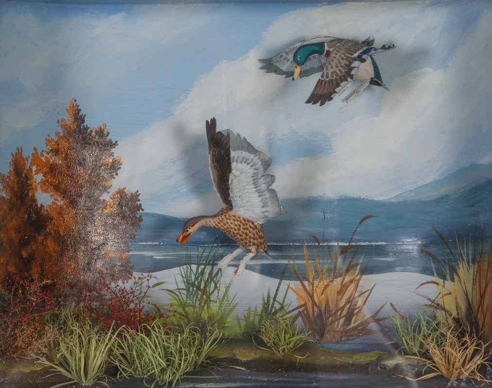 A FOLK ART DIORAMA BY R.G. RODELL - MALLARD DUCKS