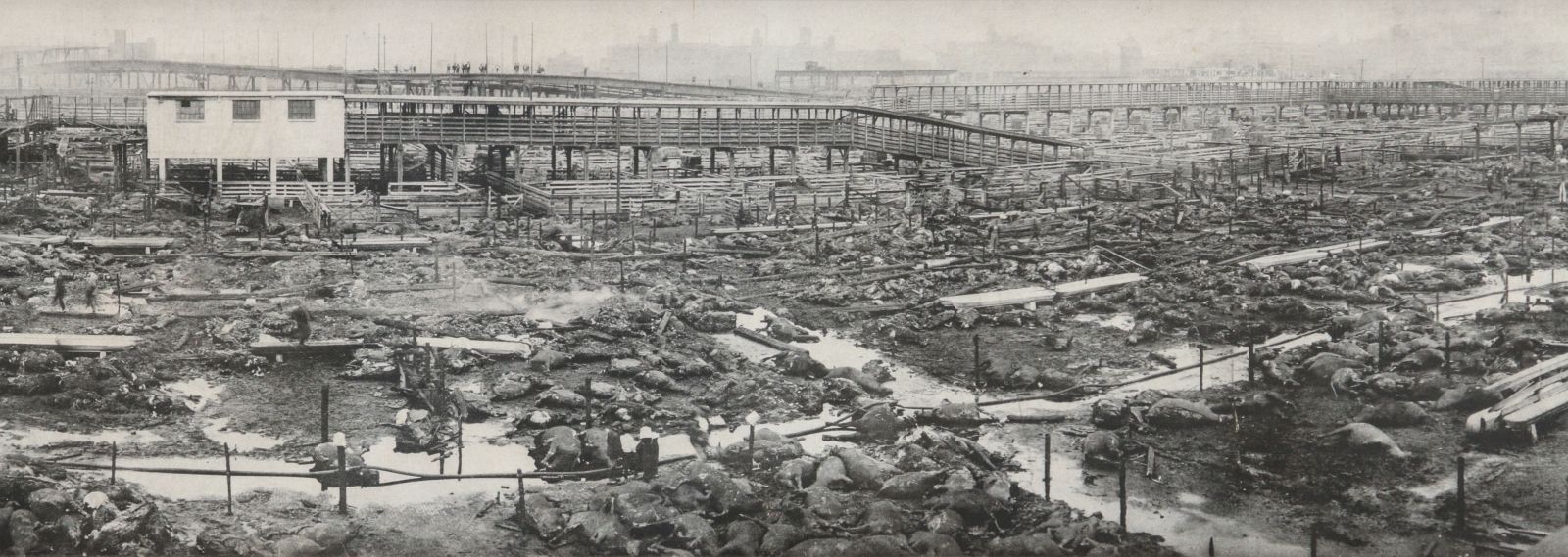 62-INCH KANSAS CITY STOCK YARD PANORAMA PHOTO 1917