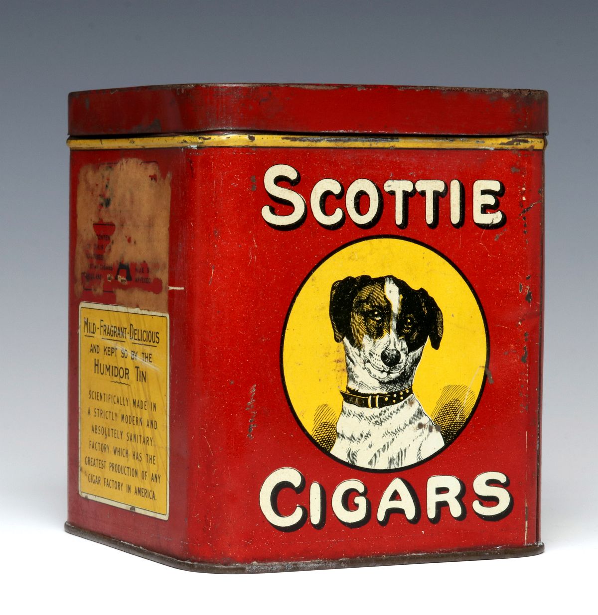 A 'SCOTTIE CIGARS' BRAND HUMIDOR TOBACCO TIN