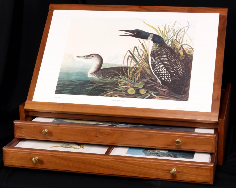 AUDUBON BIRDS OF AMERICA COLLECTOR EDITION 23/750