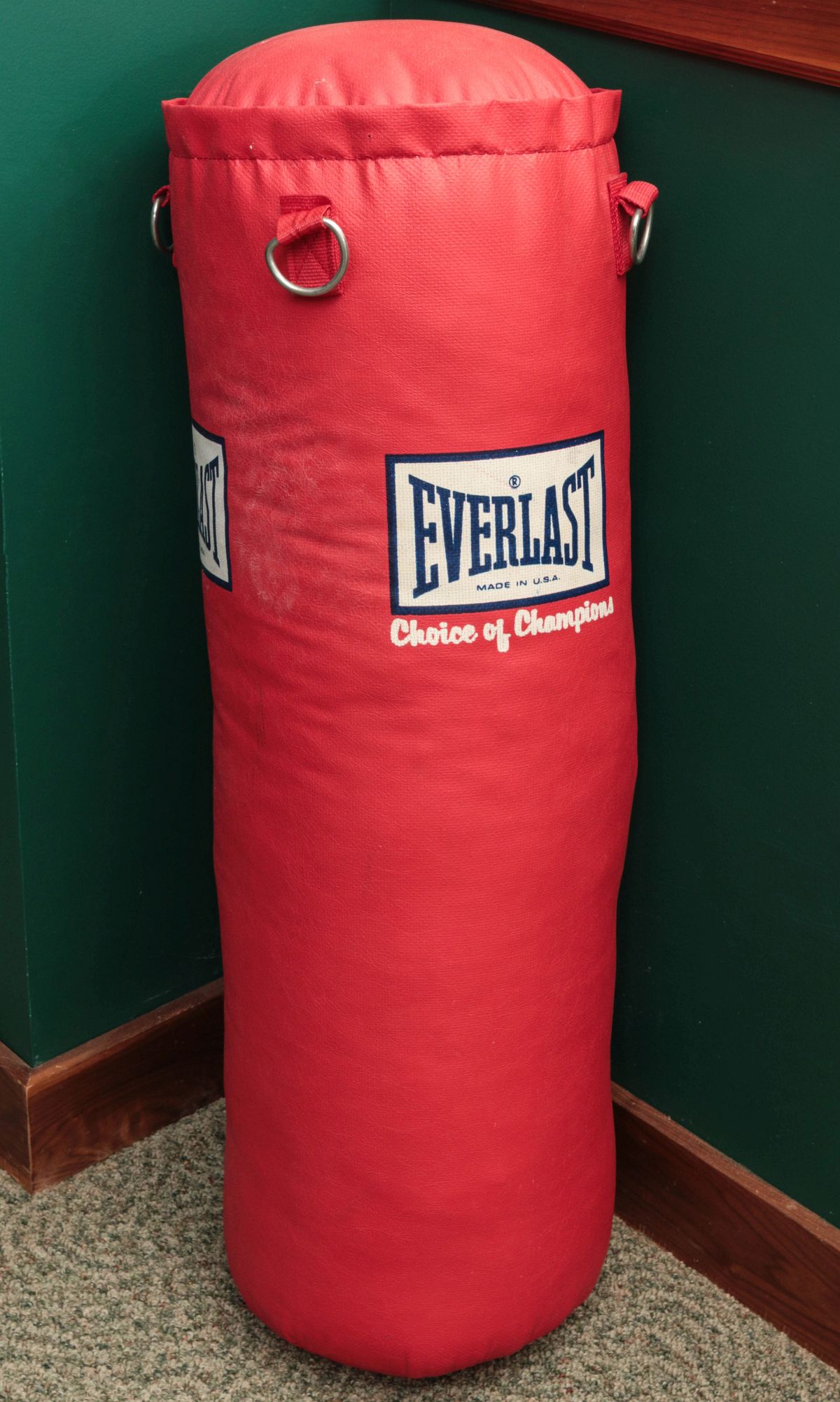 AN EVERLAST HEAVY PUNCHING BAG