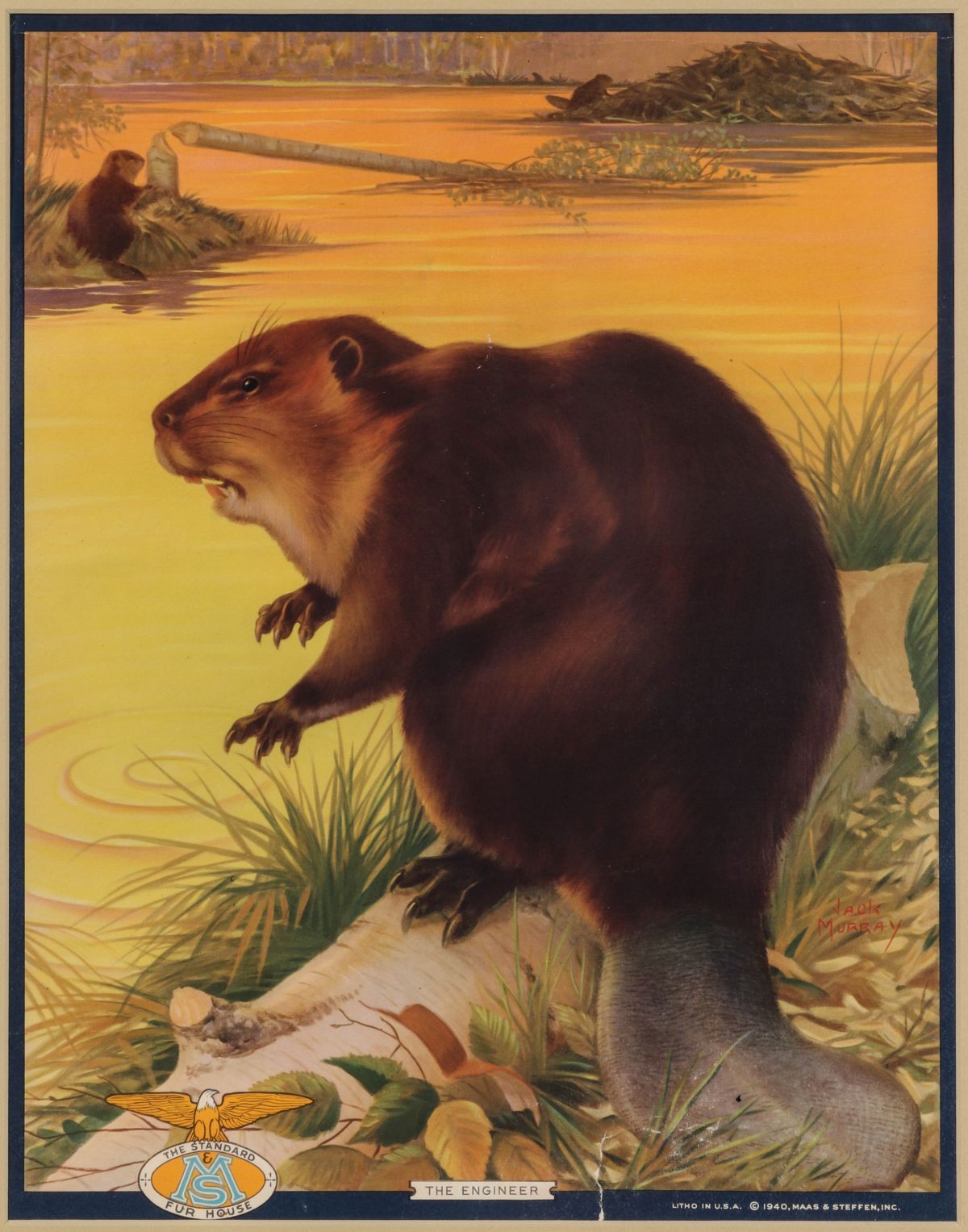 A MAAS & STEFFEN THE STANDARD FUR HOUSE CALENDAR TOP