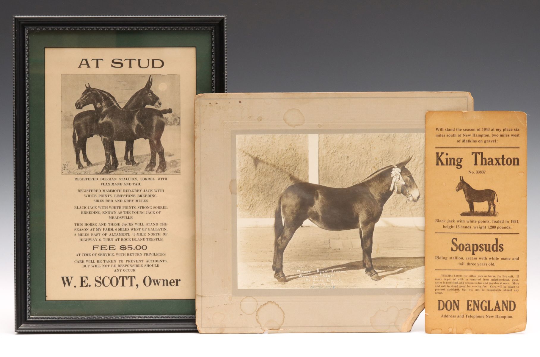 MISSOURI MULE MEMORABILIA CIRCA 1910s