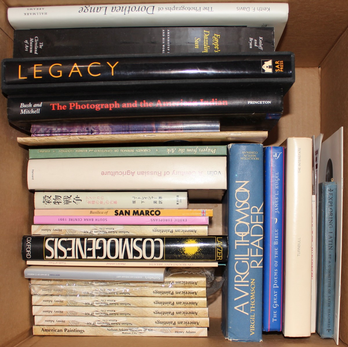 DOROTHEA LANGE, PHOTOGRAPHY, ART, 'COSMOGENESIS'