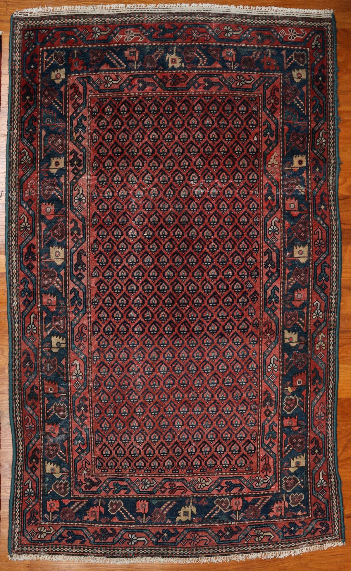 A MID 20TH CENTURY PERSIAN HAMADAN AREA RUG