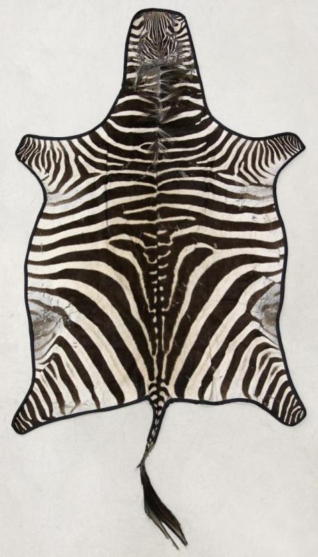 A VINTAGE FELT BACKED ZEBRA SKIN RUG