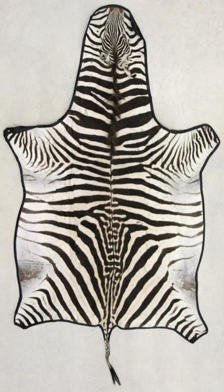 A VINTAGE FELT BACKED ZEBRA SKIN RUG