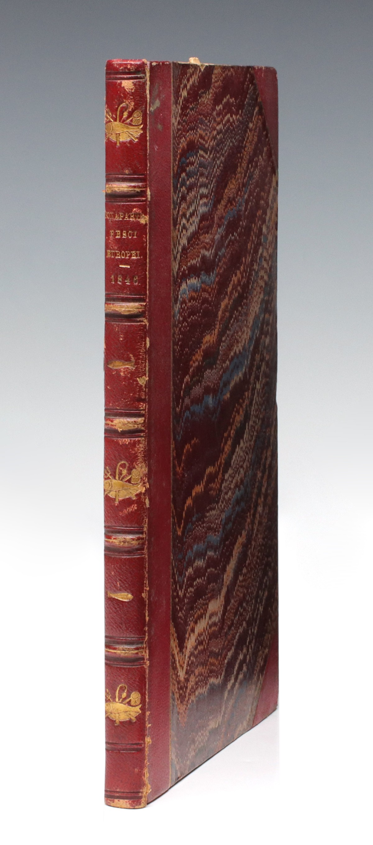 BONAPARTE, CHARLES LUCIEN, CATALOGO...EUROPEI 1846