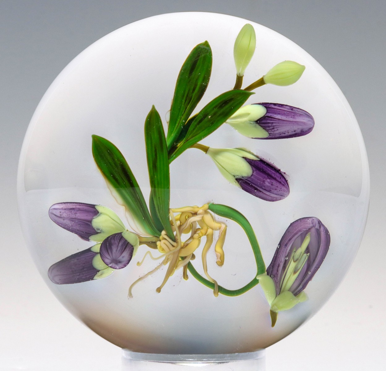 A FINE LAMPWORK PAPERWEIGHT SIGNED PAUL STANKARD