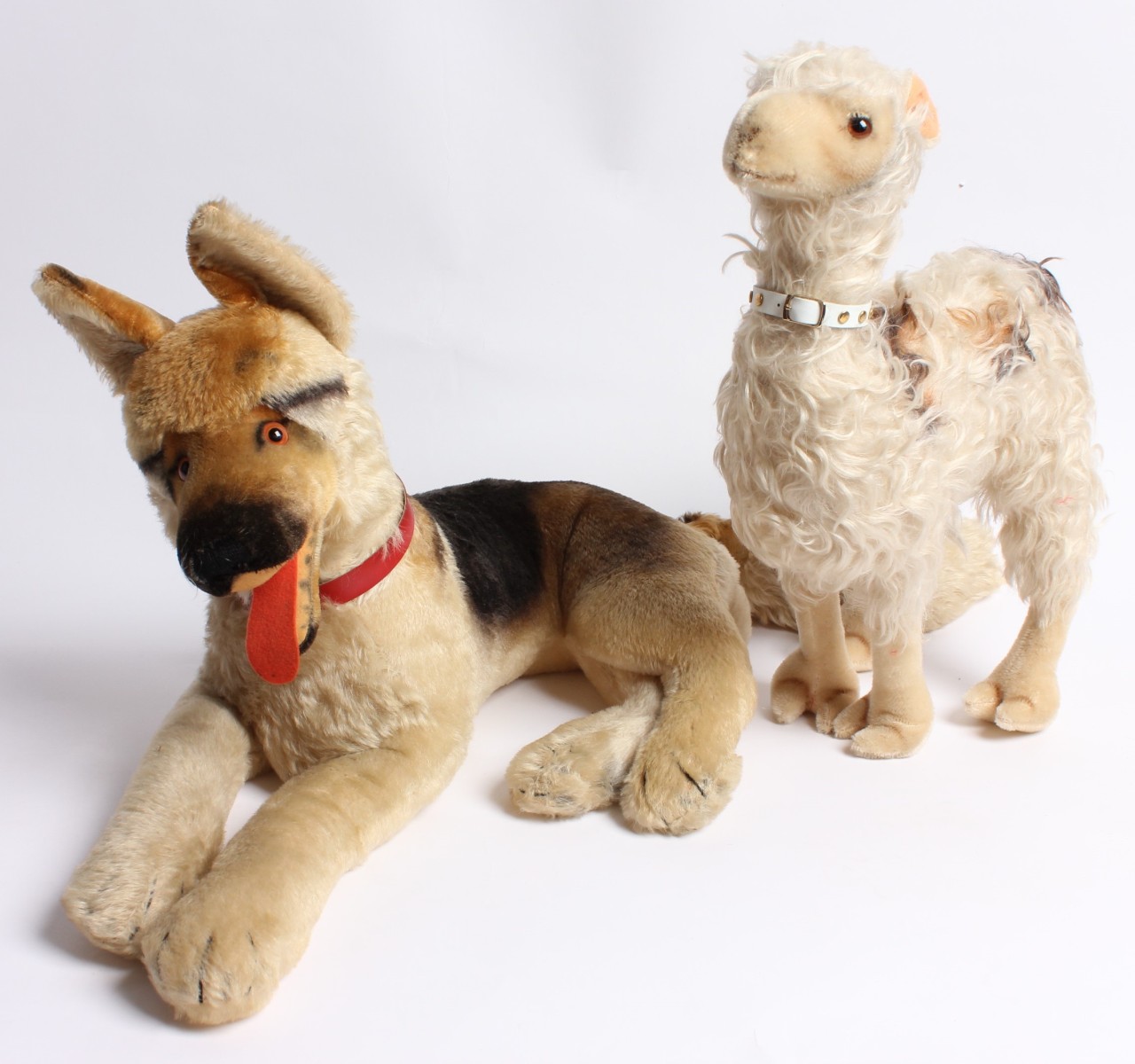 A LARGE STEIFF GERMAN SHEPHERD ALONG WITH LLAMA