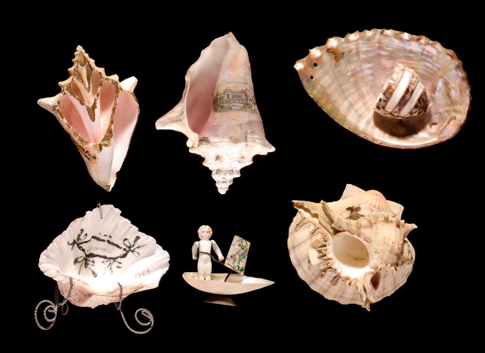 SIX DECORATED SEASHELL 1904 WORLD'S FAIR SOUVENIRS