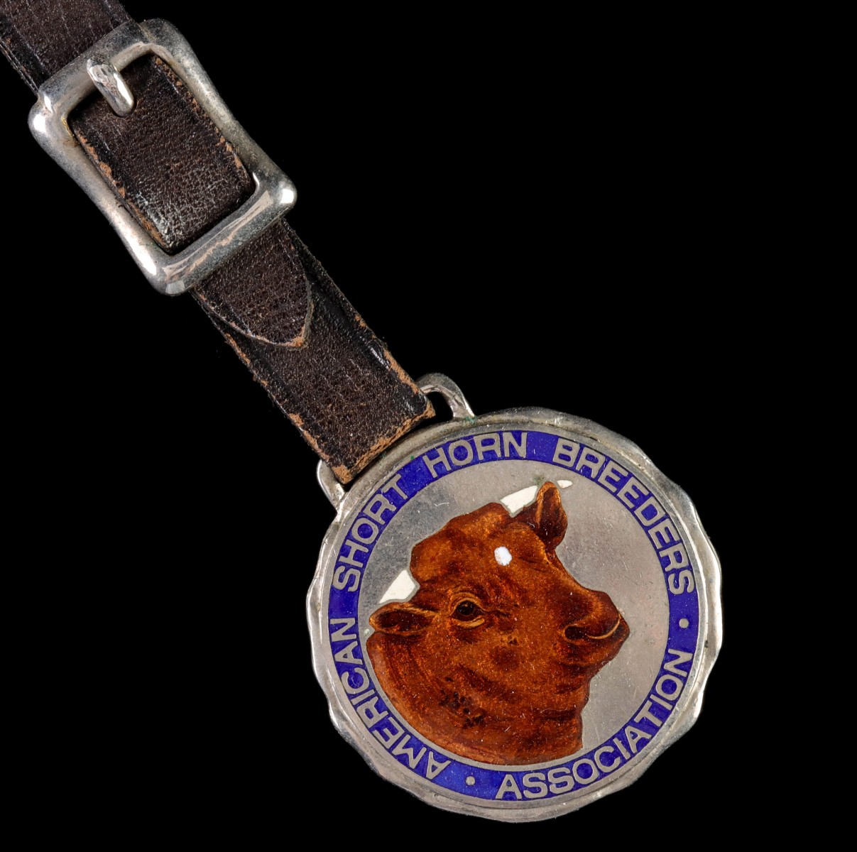 AMERICAN SHORT HORN BREEDERS ENAMELED WATCH FOB