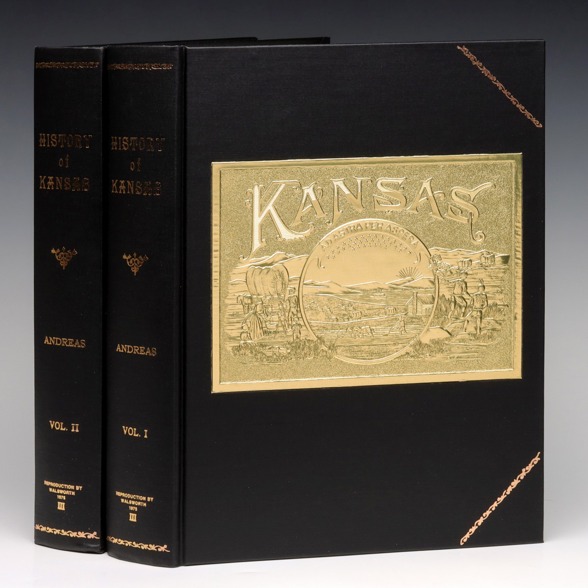 REPRINT OF THE HISTORY OF KANSAS 1883 IN TWO VOLUMES