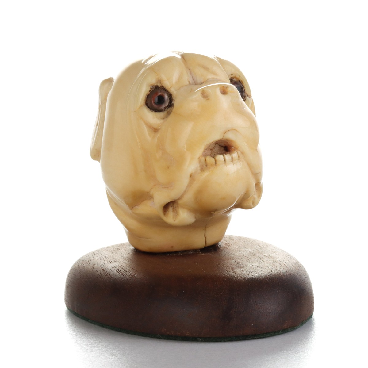 A CARVED IVORY GLASS-EYED DOG HEAD CANE HANDLE C. 1880