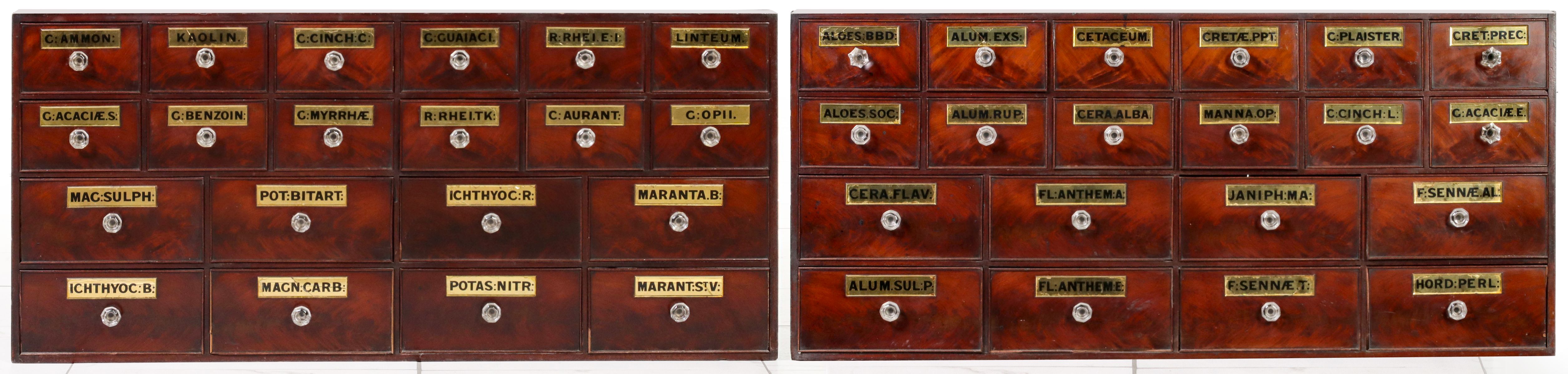 TWO 19C APOTHECARY CABINETS WITH REVERSE PAINTED LABELS