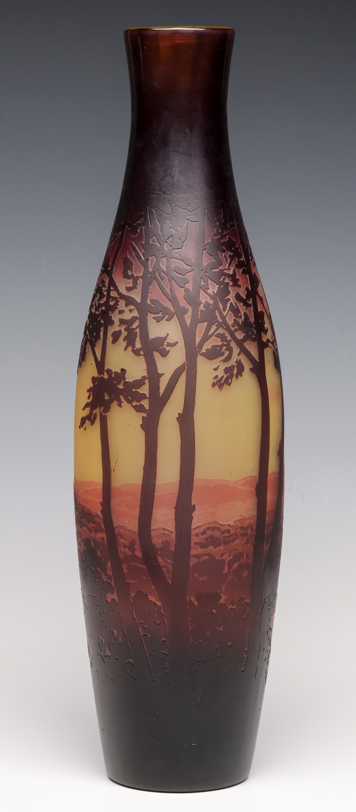 A FRENCH CAMEO ART GLASS VASE SIGNED D'ARGENTHAL