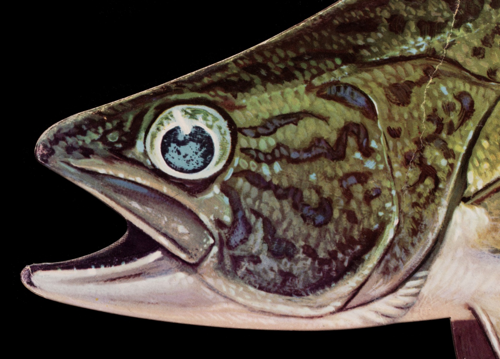 A WINCHESTER FISHING LURES DIE-CUT WALLEYE FISH SIGN