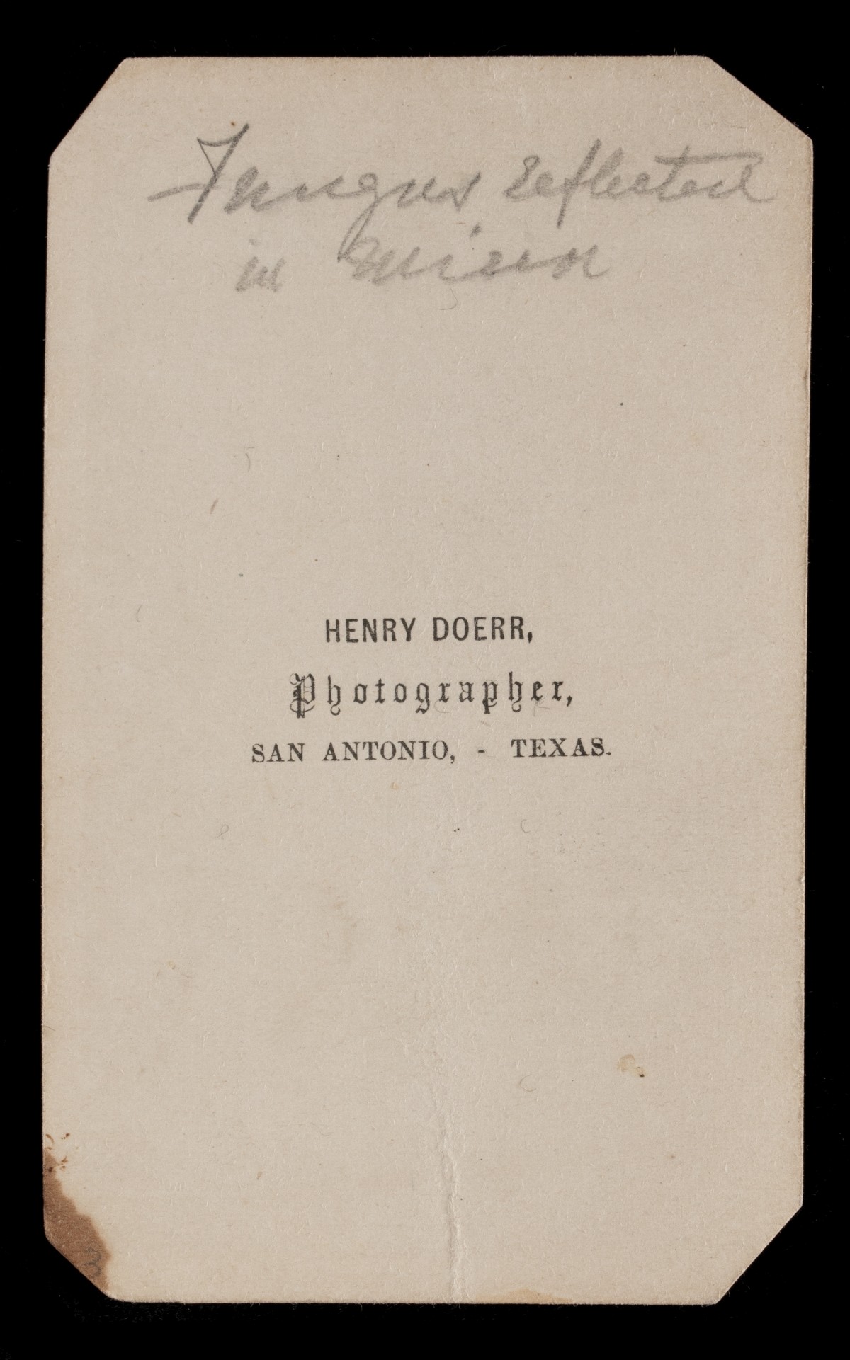 HENRY DOERR 19TH CENT PHOTOGRAPHS OF INSECTS AND FUNGI