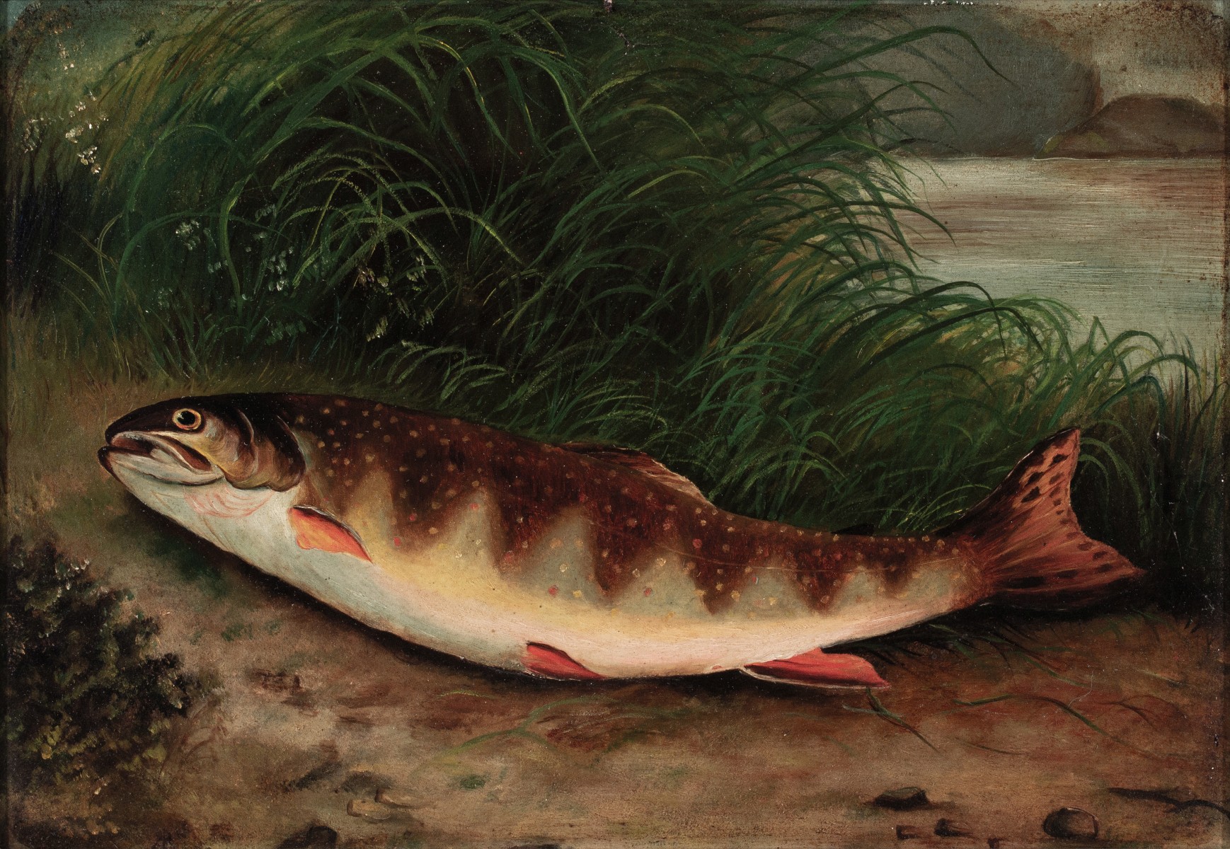 A 19TH CENT AMERICAN SCHOOL TROUT OIL ON ACADEMY BOARD