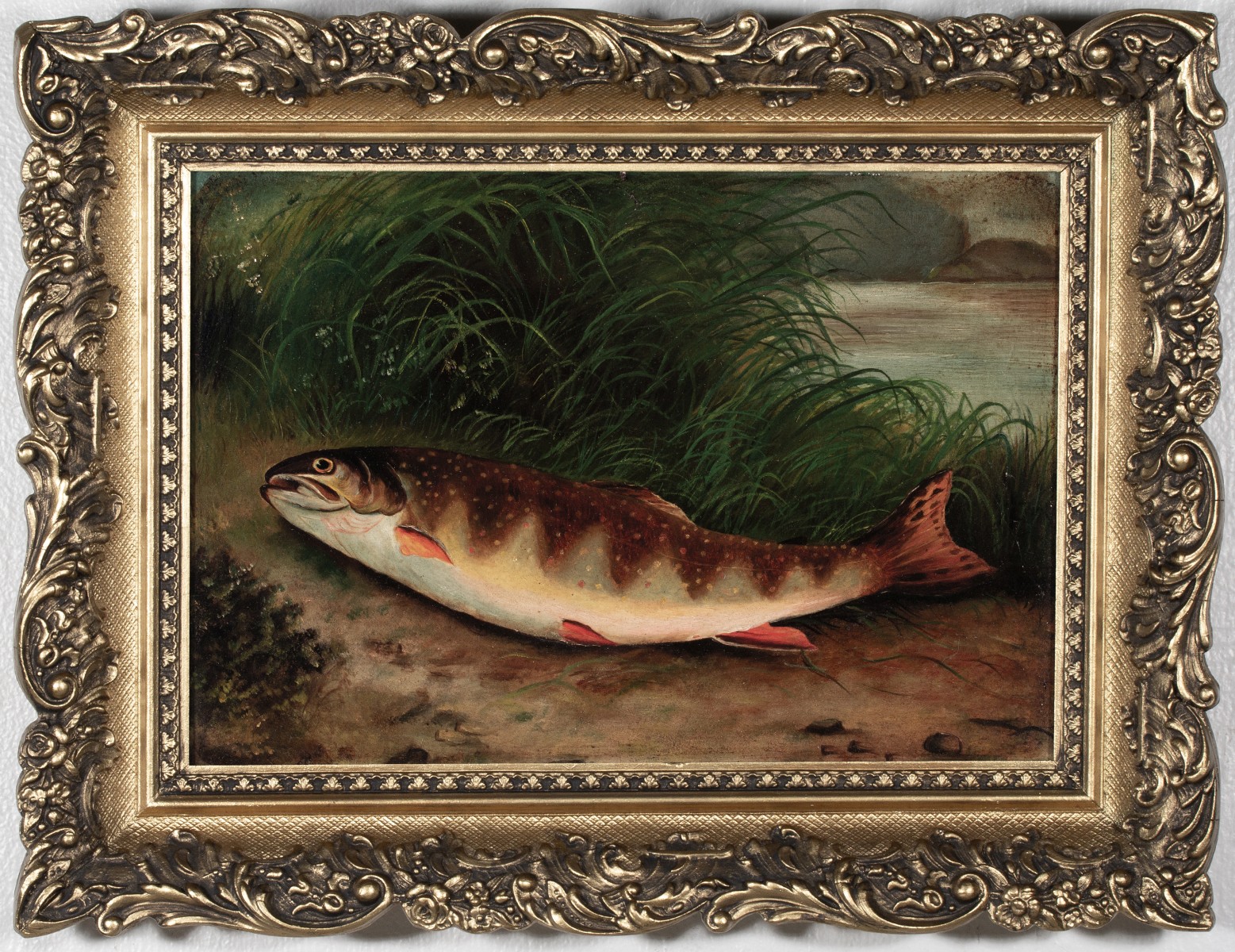 A 19TH CENT AMERICAN SCHOOL TROUT OIL ON ACADEMY BOARD