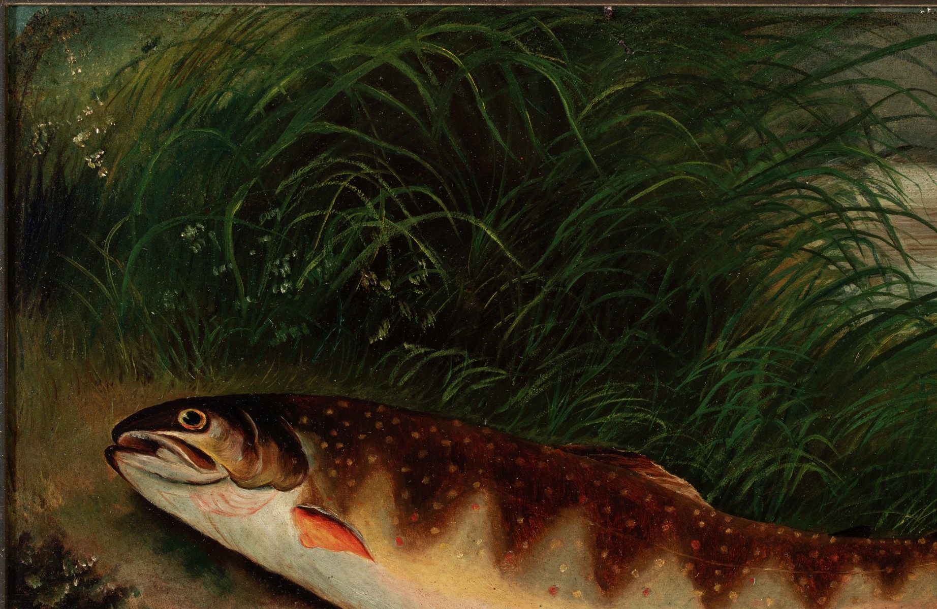 A 19TH CENT AMERICAN SCHOOL TROUT OIL ON ACADEMY BOARD