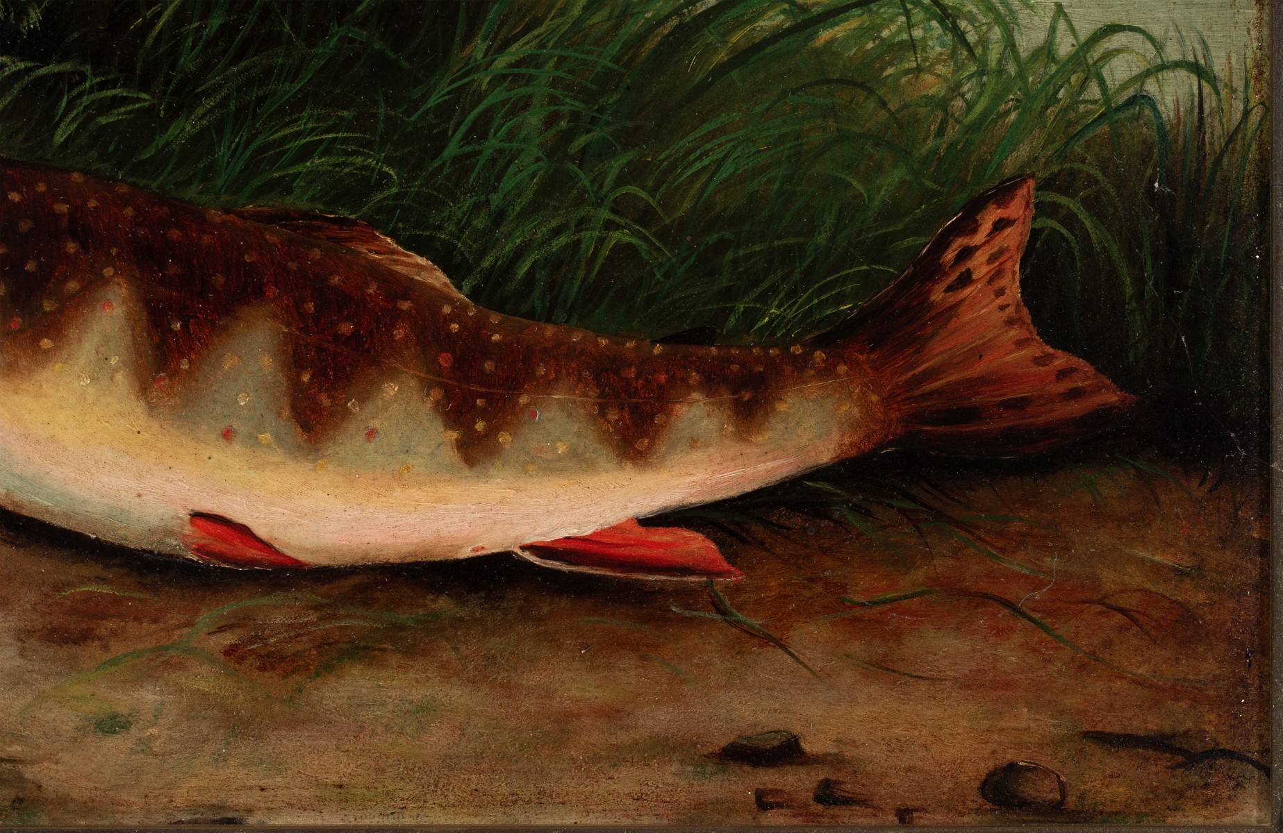 A 19TH CENT AMERICAN SCHOOL TROUT OIL ON ACADEMY BOARD