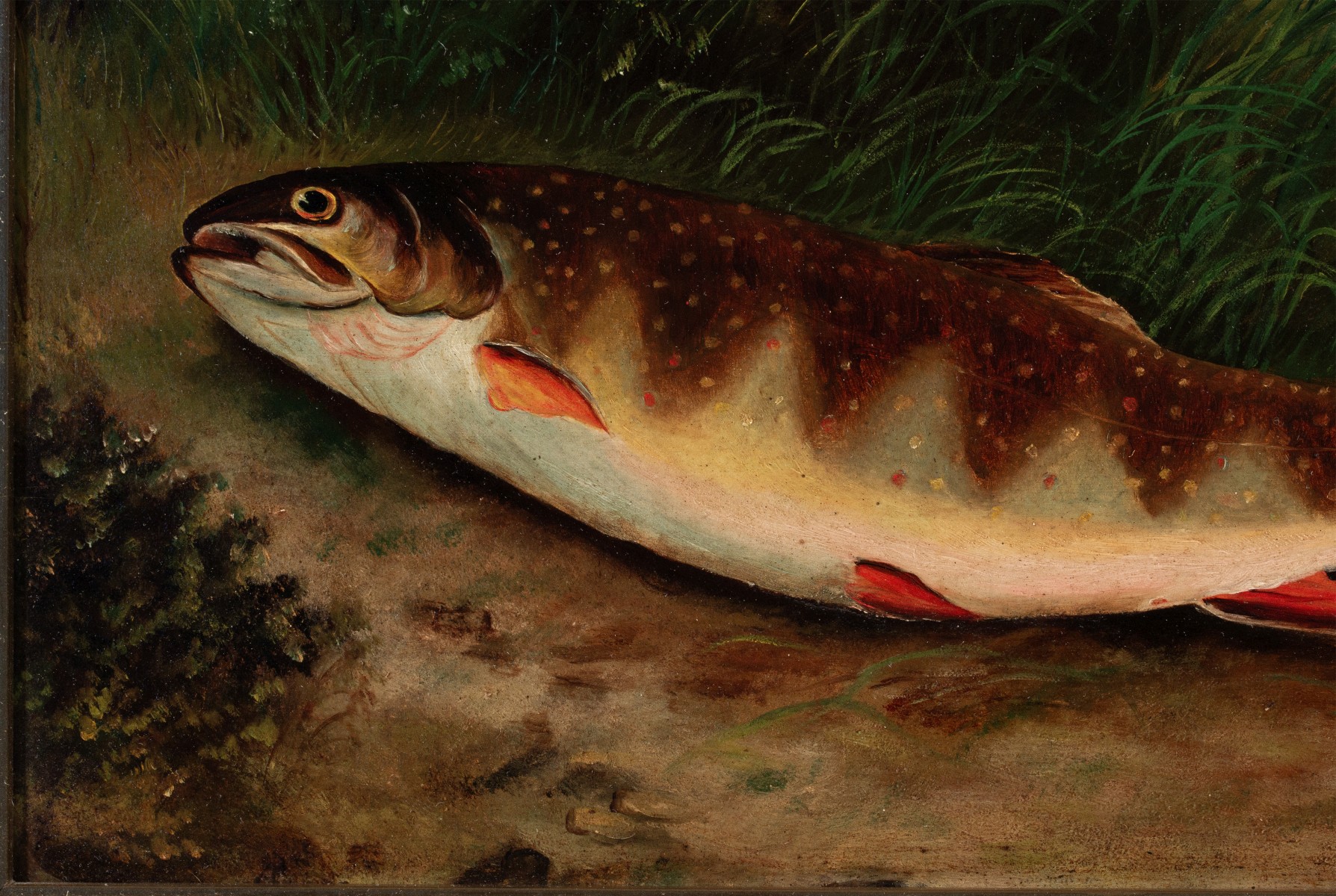 A 19TH CENT AMERICAN SCHOOL TROUT OIL ON ACADEMY BOARD