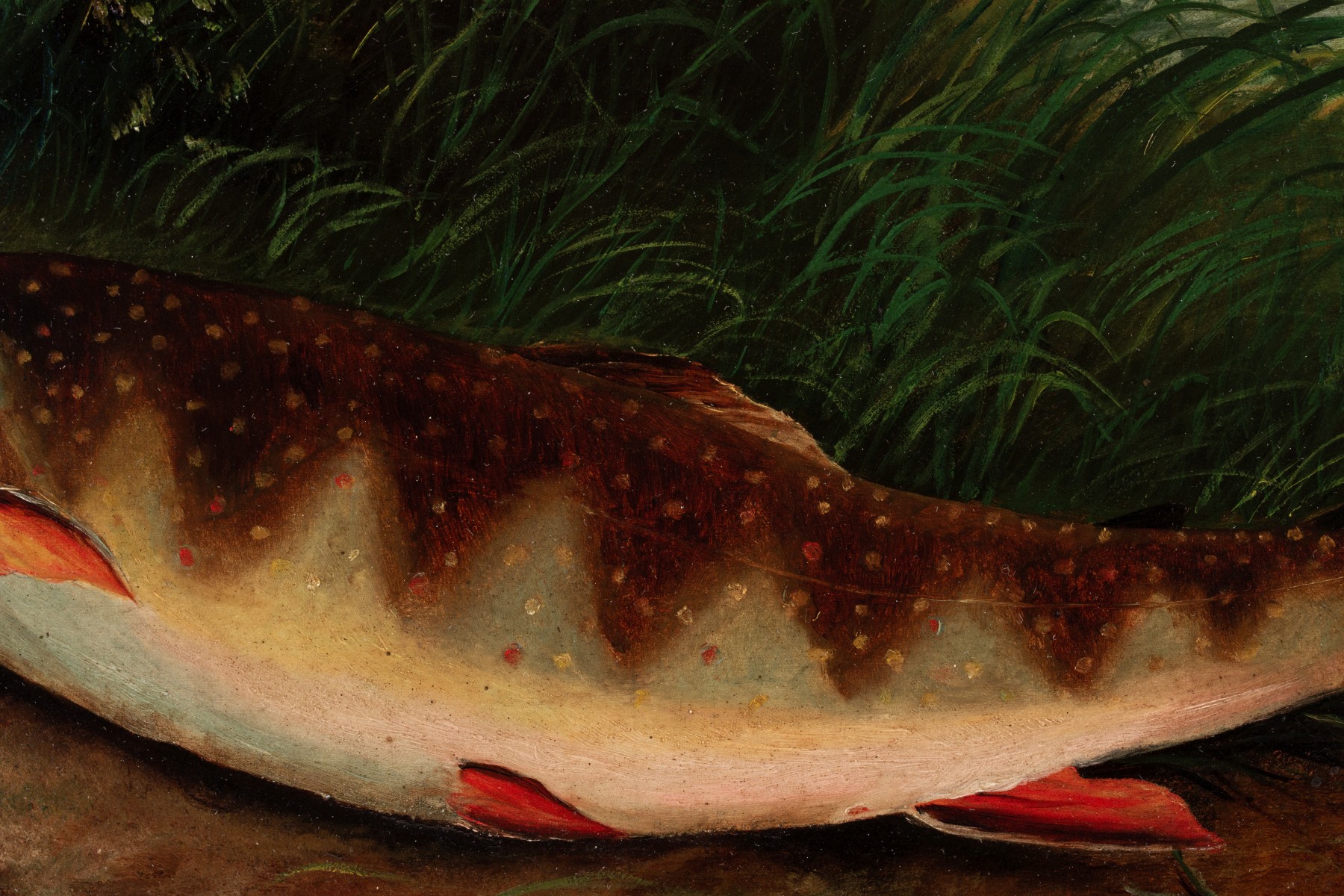 A 19TH CENT AMERICAN SCHOOL TROUT OIL ON ACADEMY BOARD