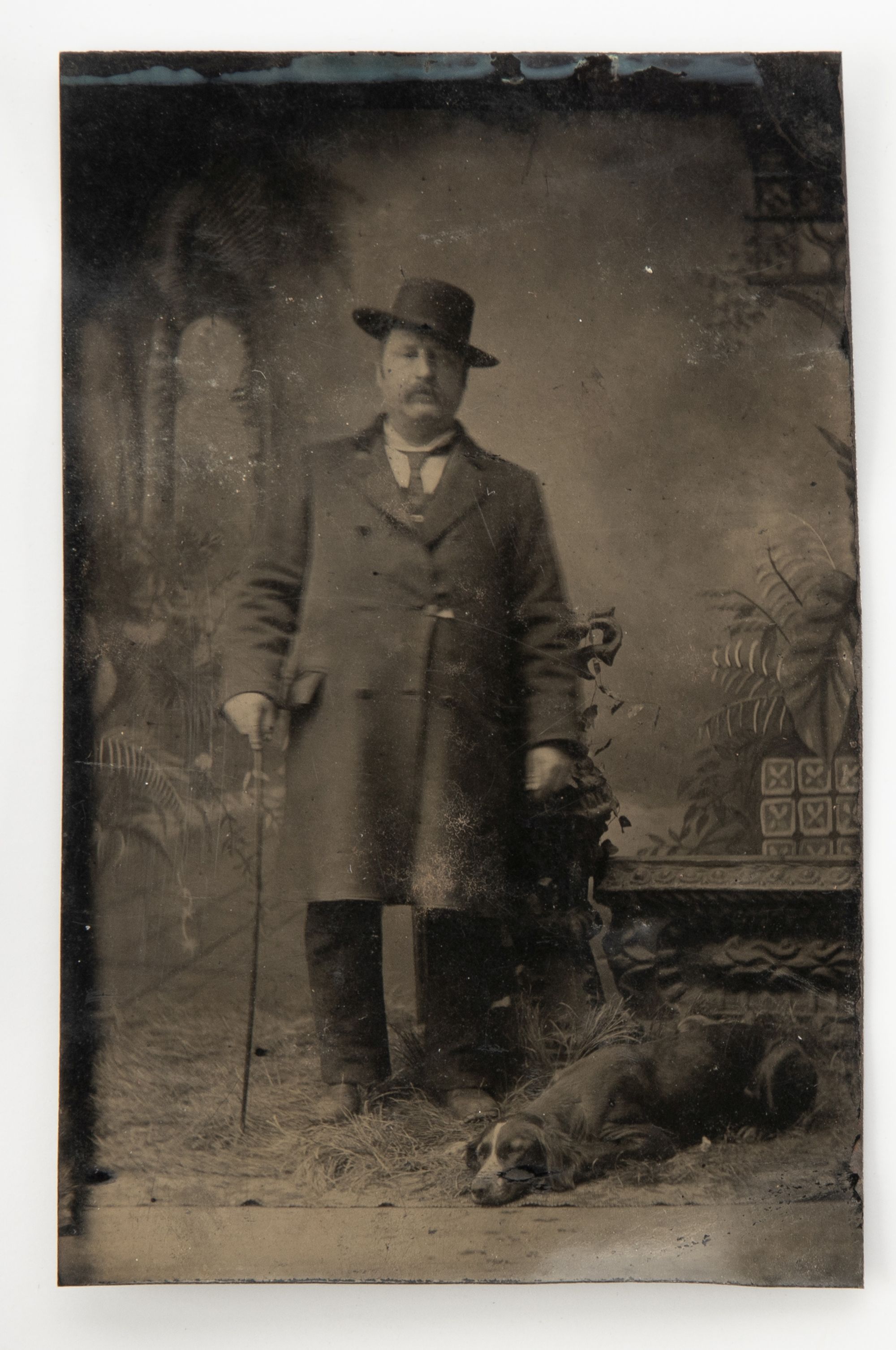 TINTYPE PHOTOGRAPHS WITH DOGS, THEOLOGIAN, FRATERNAL...