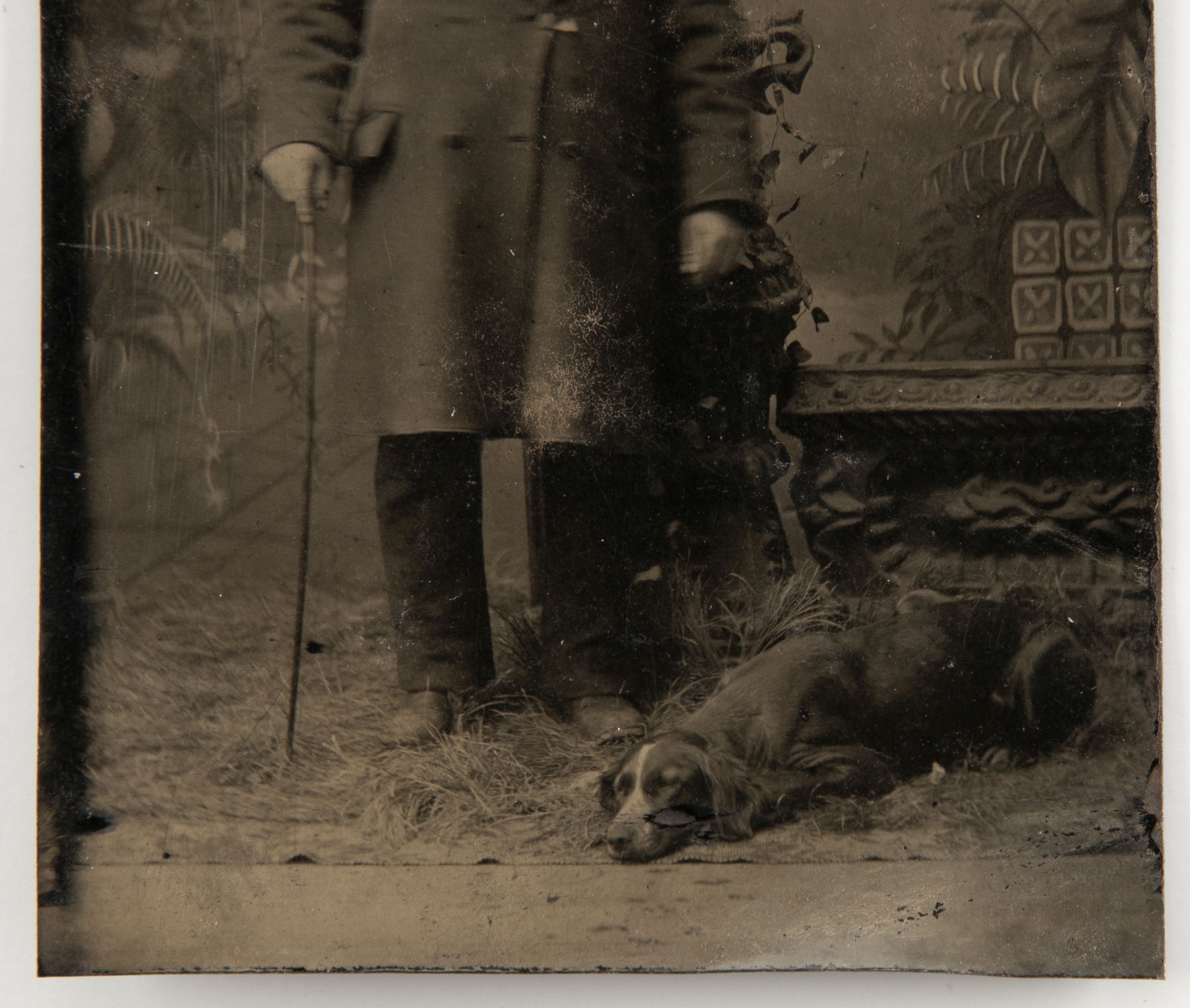 TINTYPE PHOTOGRAPHS WITH DOGS, THEOLOGIAN, FRATERNAL...