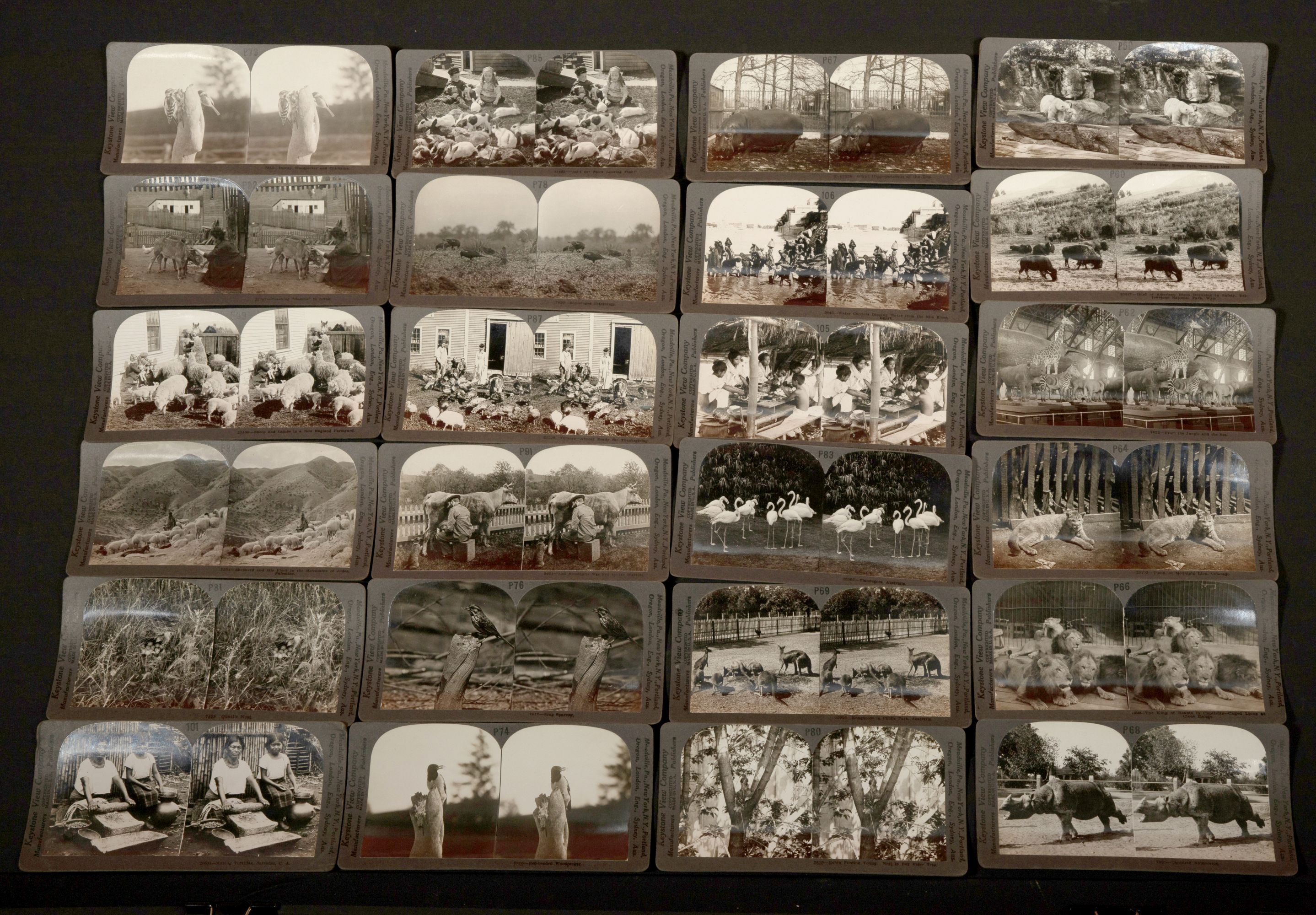 APPROXIMATELY 198 REAL PHOTO KEYSTONE STEREO VIEWS