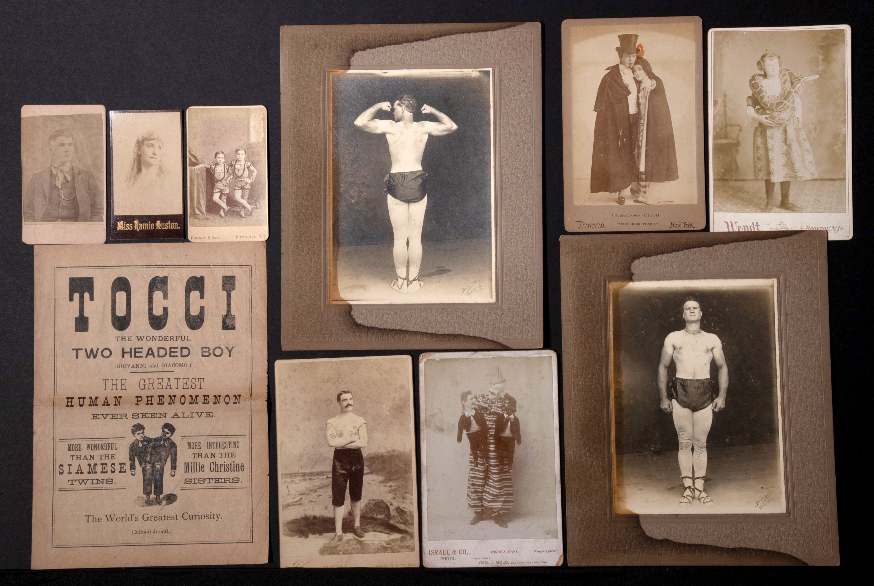 HUMAN CURIOSITIES, SIDESHOW PERFORMERS, CIRCUS, TOCCI