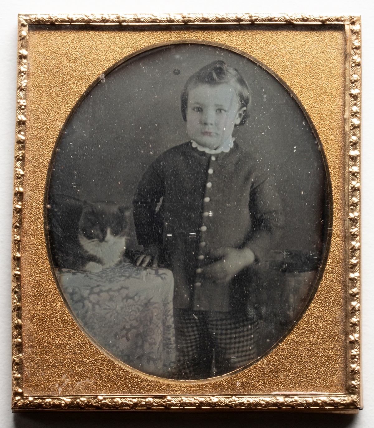 A DAGUERREOTYPE STUDIO IMAGE OF CHILD AND PET CAT