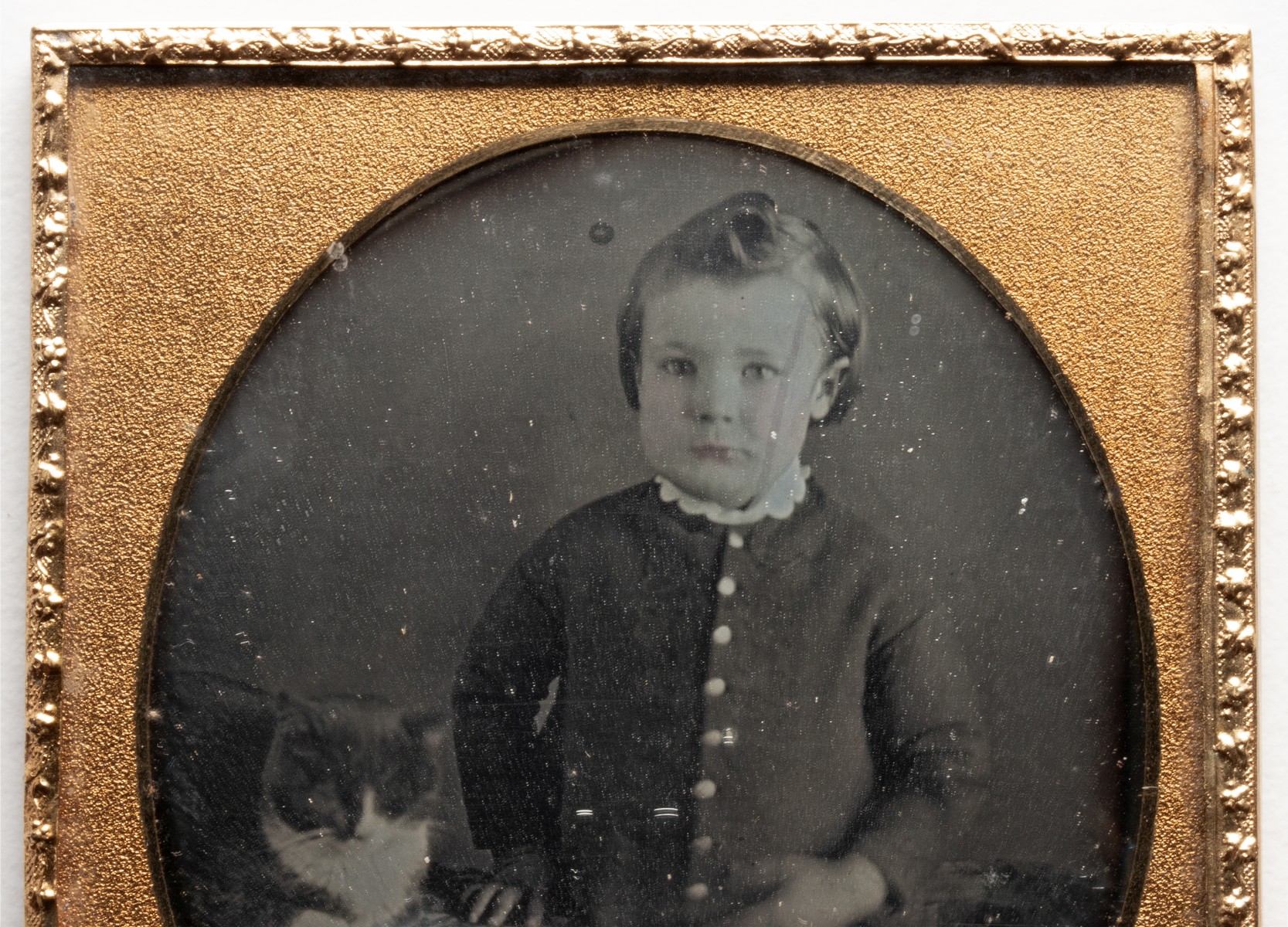 A DAGUERREOTYPE STUDIO IMAGE OF CHILD AND PET CAT