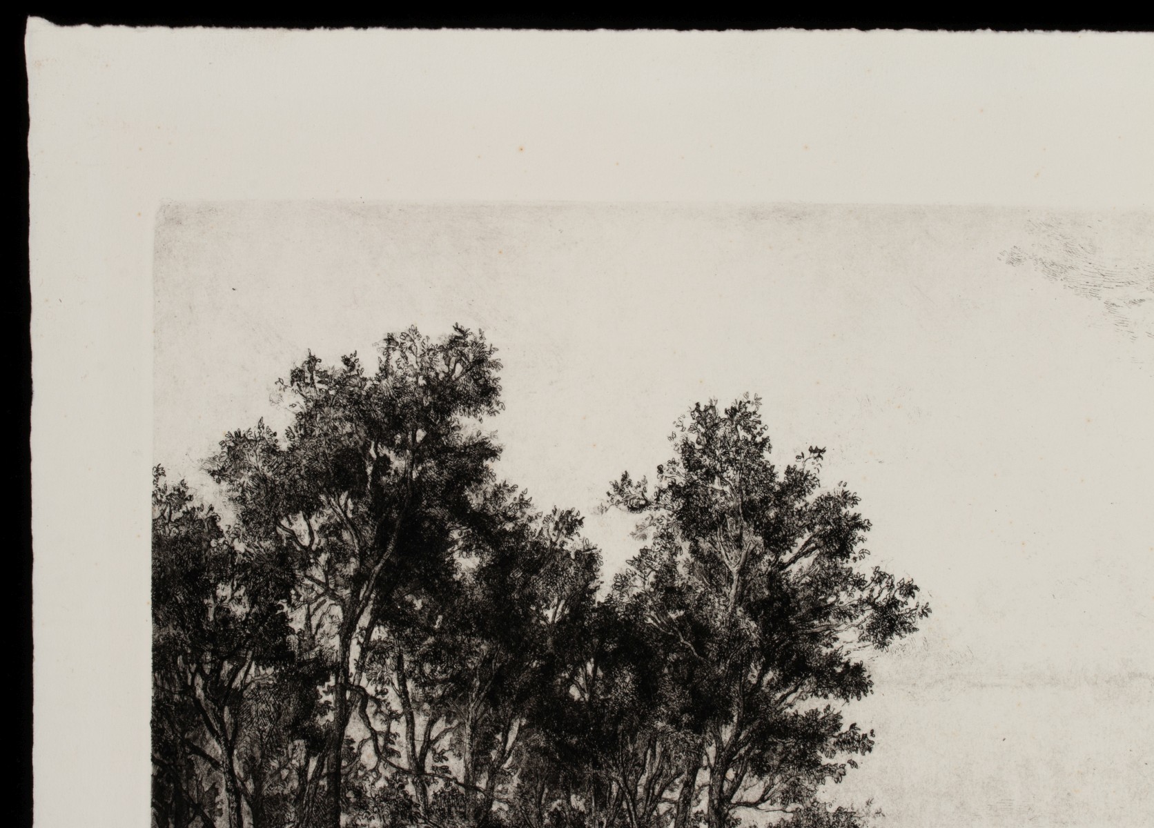 DOUG OSA (BORN 1952) PENCIL SIGNED ETCHING
