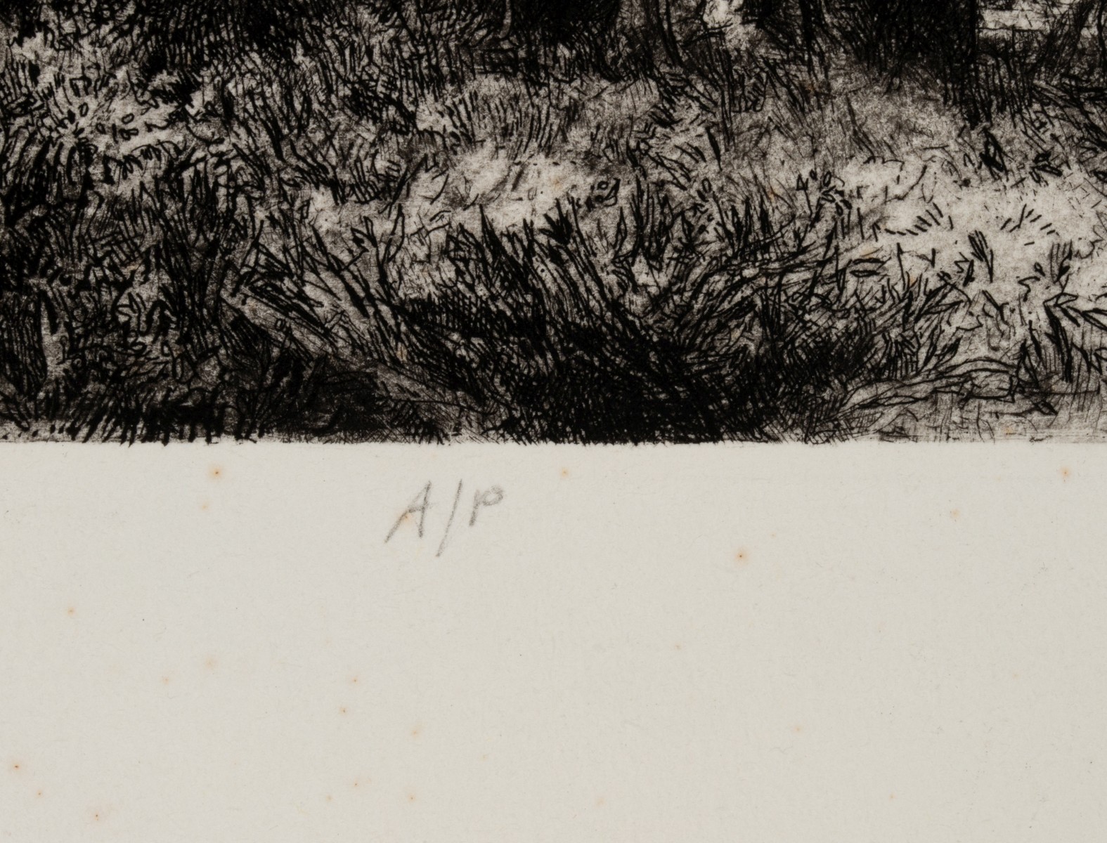 DOUG OSA (BORN 1952) PENCIL SIGNED ETCHING