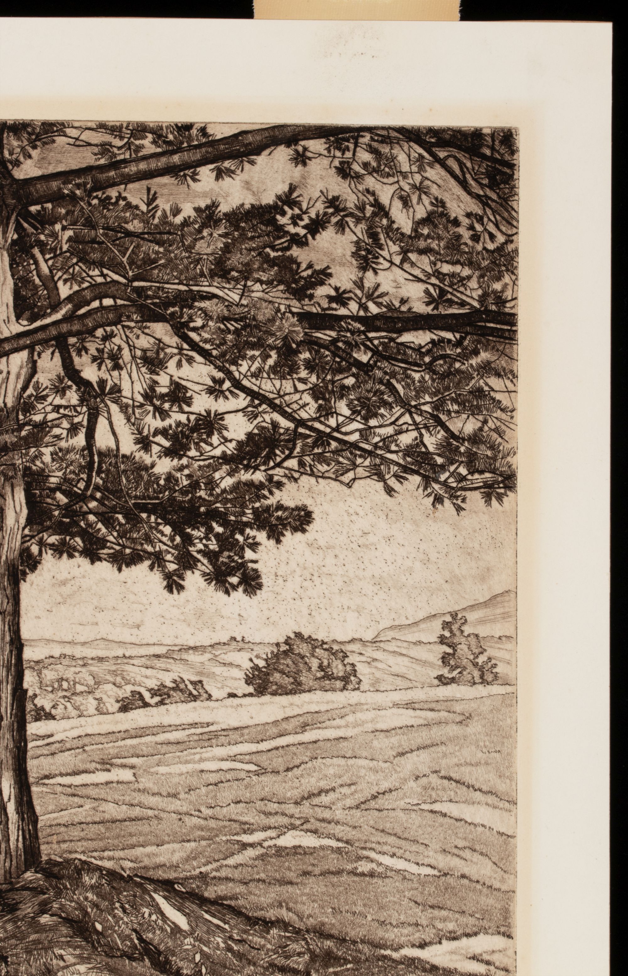 LUIGI LICIONI (1900-1988) PENCIL SIGNED ETCHINGS (2)